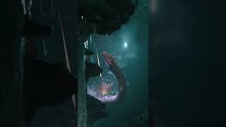 We fought the snake on Daymar! #starcitizen #snake #yormandi