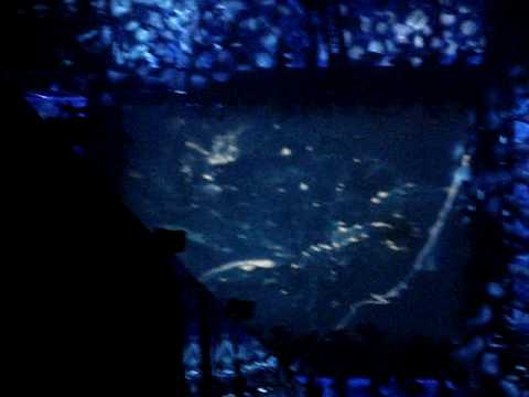 Sensation White 2009 Belgium