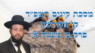 מסכת קינים תשפ"ד קן מפורשת פרק ב' משנה א' (הרב יחזקאל מוצא) - התמונה מוצגת ישירות מתוך אתר האינטרנט יוטיוב. זכויות היוצרים בתמונה שייכות ליוצרה. קישור קרדיט למקור התוכן נמצא בתוך דף הסרטון