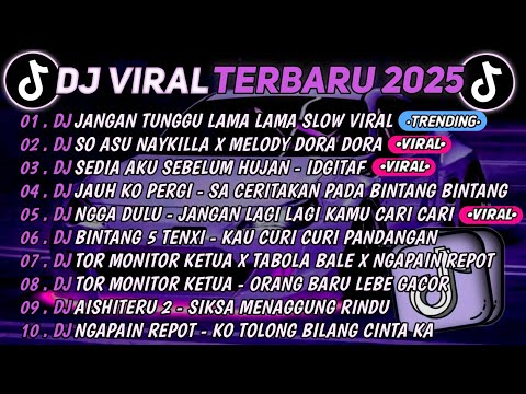 DJ TIKTOK TERBARU 2025🎵DJ JANGAN TUNGGU LAMA LAMA🎵DJ SO ASU NAYKILLA X MELODY DORA DORA ||FULL ALBUM
