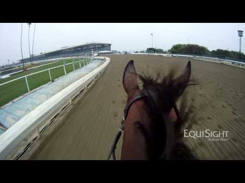 Breeders' Cup 2013 -"Jeranimo" -- OFFICIAL WORKOUT - JockeyCam presented by EquiSight.com HD