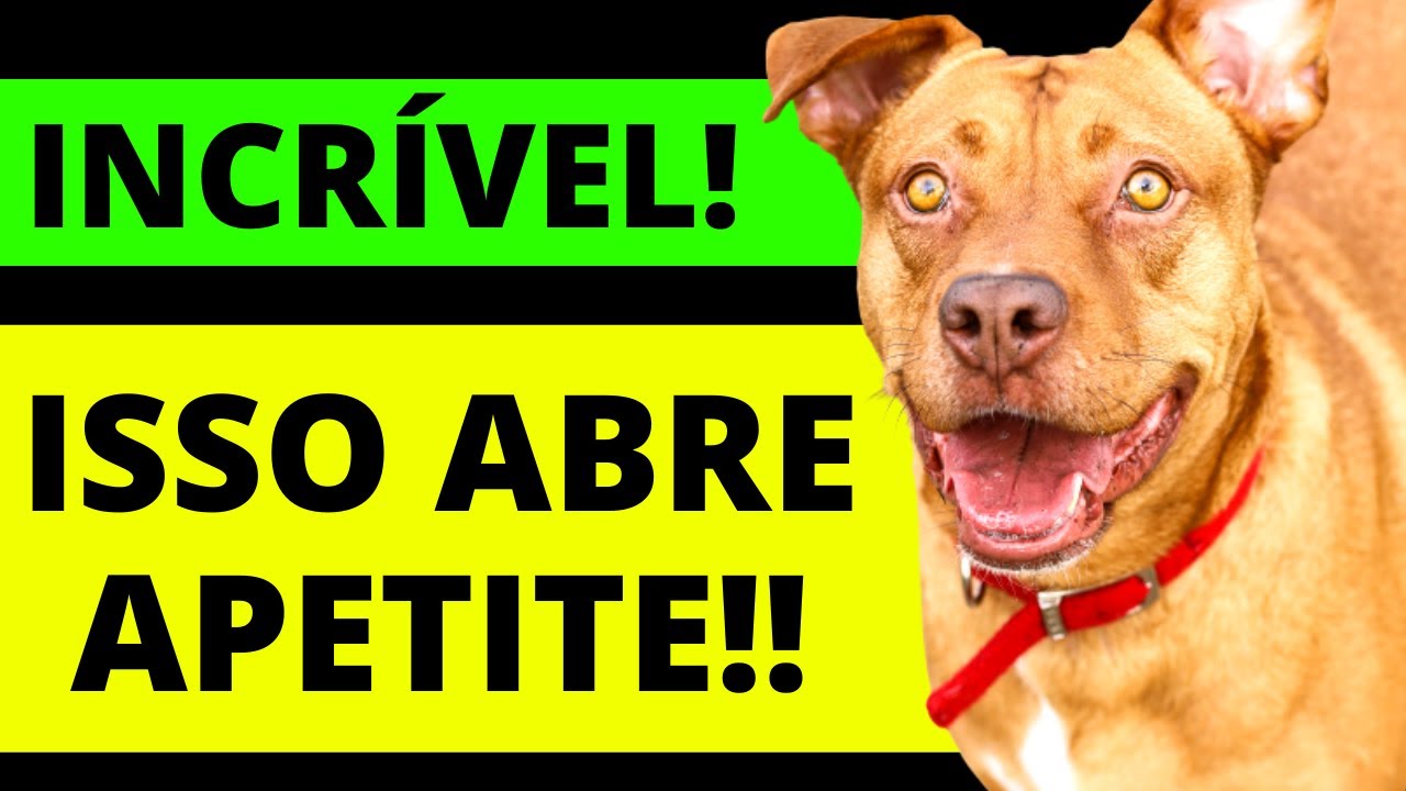 ISSO ABRE APETITE DE QUALQUER CACHORRO!!