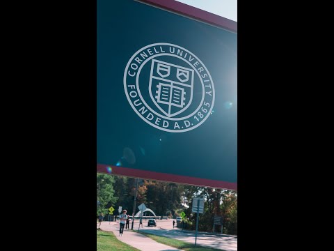 Jane Doe wrote letter to Cornell faculty senate