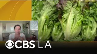 Epidemiologist discusses concerns over increasing food recalls
