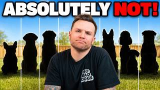 7 Dog Breeds I’d Never Let in My House