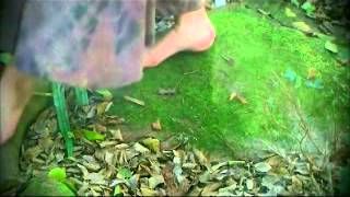 Guajira del Sol - José Aquiles Virelles Rodríguez - Ganador XXVIII Premio Nósside Música 2012