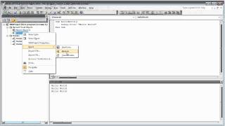 Download the video "Introduction to Programming for Non-programmers"