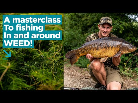 Your Complete Guide To Weedy Waters with Carp Coach Rob Burgess | Carp Fishing Advice