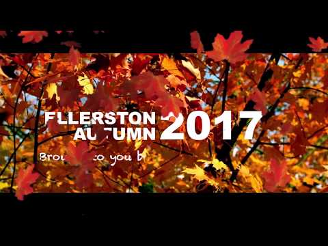PoloLine TV - Ellerston Automn