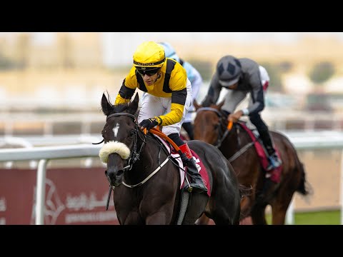 RM15 Al Uqda  RACE-2 -  Al Arish Cup