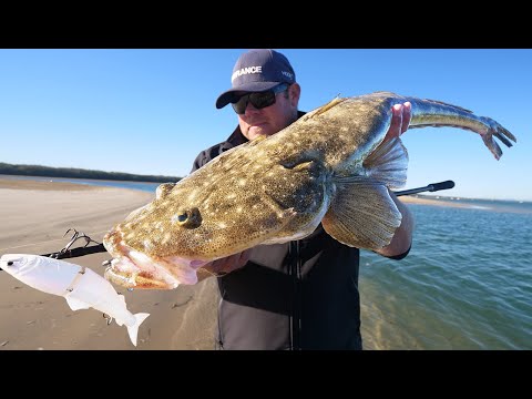 Giant 95cm flathead on a swimbait!