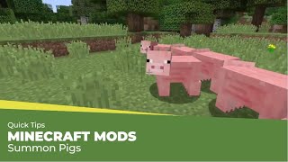 Tynker Quick Tips — Minecraft Mods