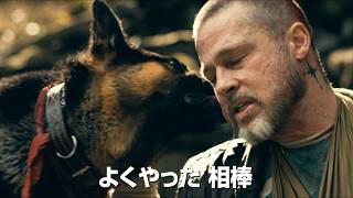「もう離れない」ブラッド・ピットと義足の犬、極限状態でも揺るがぬ絆　映画『ハート・オブ・ビースト』本予告