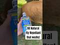 No toxin fly repellant that actually works! #livestock #horses #jerseycows #homesteading