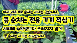 콩순치기 적심기 콩 서리태 순치는 기계 콩 순 전용기계 [콩재배방법]