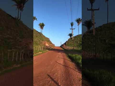 Lima Campos - MA