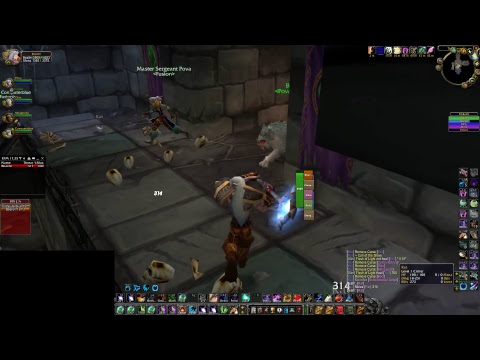 Vanilla WoW - Fusion Guild - Feral Druid - Dire Maul