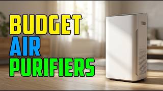 5 Budget Air Purifiers That Actually Work — No Overpriced Hype