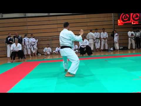 Dejan Nedev performing kata at UWK - ITKF World championship in Koper Slovenia