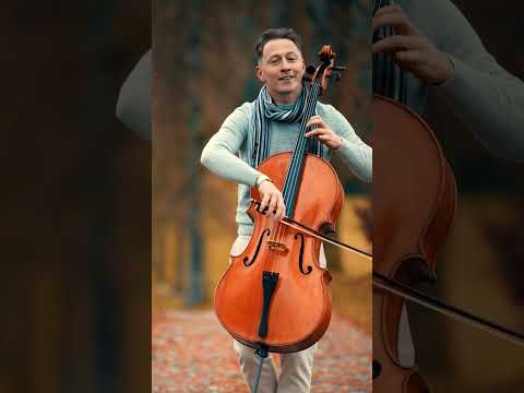 Can't Help Falling in Love ❤️- Elvis Presley#canthelpfallinginlove #fallinginlove #cover #lovesong