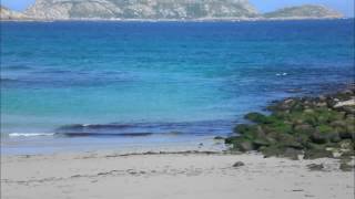 JAAP Terriña   from the album Whitehouse Games