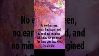 No eye has seen #bible quotes #christ #proverbs #thinkcreatelearn