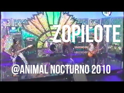 Defecto en vivo Animal Nocturno Zopilote Pt 1.
