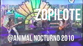 Defecto en vivo Animal Nocturno Zopilote Pt 1.