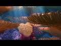 Opening To Finding Nemo 2003 DVD Disc 1