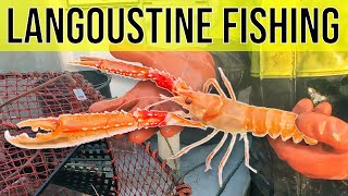 Fishing for Langoustine in Norwegian Fjord (Norway Lobster)