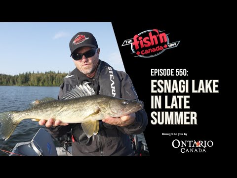 CRAZY WALLEYE IN NORTHERN ONTARIO | The Fish'n Canada Show Episode 550: Esnagi Lake in Late Summer - YouTube