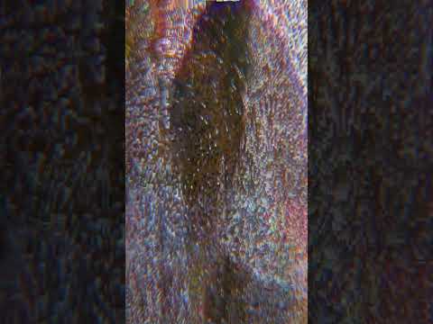 6 #godsrave #gdr #mirs #newalbum #newmusic #july18