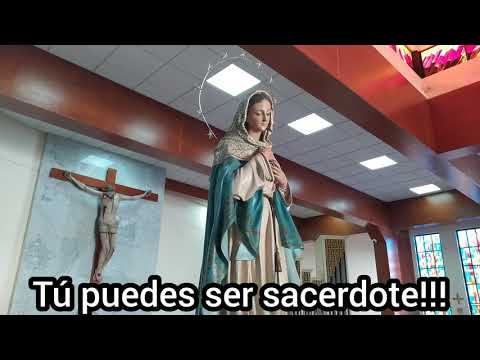 Tú puedes ser sacerdote.