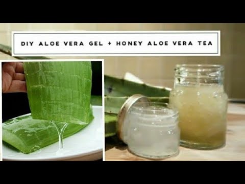 download lagu mp3 mp4 Aloe Tea Recipe, download lagu Aloe Tea Recipe gratis, unduh video klip Aloe Tea Recipe