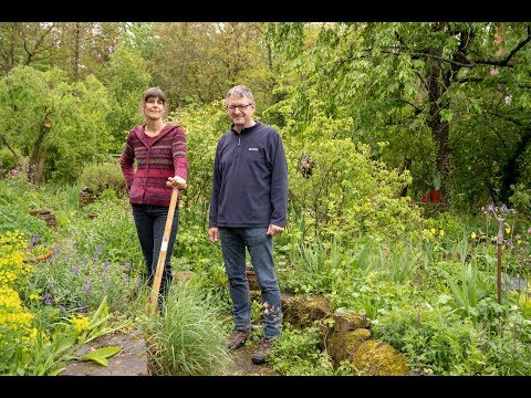 Artenreicher Naturgarten - gepfegt verwildert
