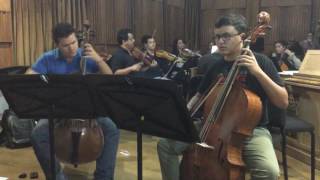 Antonio Vivaldi Cello Double Concerto G minor