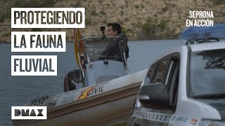 Thumbnail del capítulo