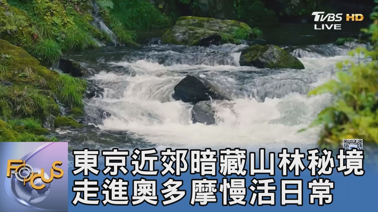 東京近郊秘境|奧多摩檜原村慢活指南:入住300年茅草屋兜家旅館、品嚐四季山野料理