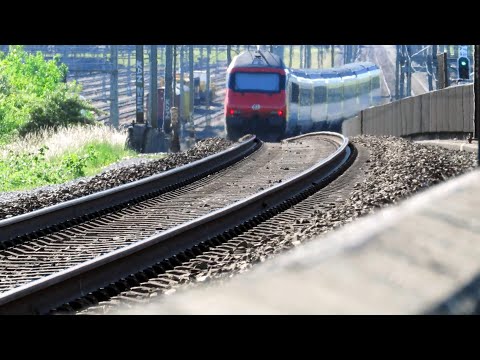 IR 36 Zürich - Basel