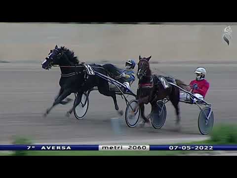 Aversa trotto 7 Maggio 2022 - 7° Corsa