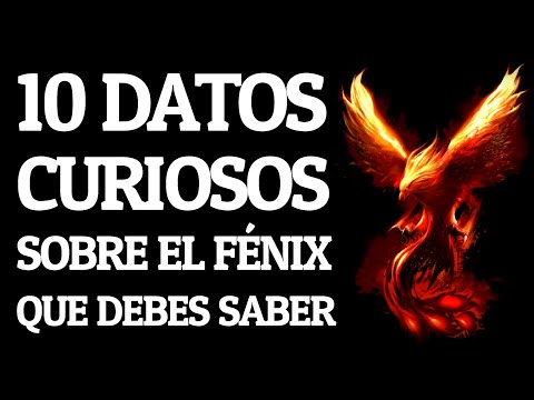 10 DATOS CURIOSOS sobre EL FÉNIX que DEBES SABER 🔥