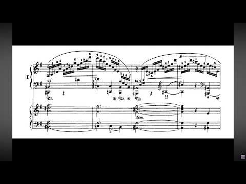 Chopin: Concerto No. 1 in E Minor, Op. 11, 1st Movement (van Doorninck)