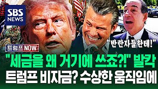 "세금 대놓고 빼돌리나?!" 두둑한 '트럼프 비자금' 향하는 곳? 중간선거 전 '본격 시동'에 미국 '발칵' 뒤집힌 이유 / SBS / 트럼프 NOW