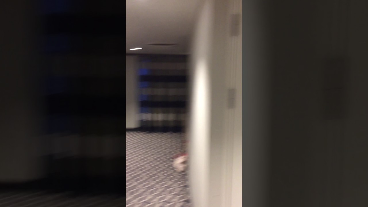 Anthem of the Seas - Cabin 10634 - Video 1