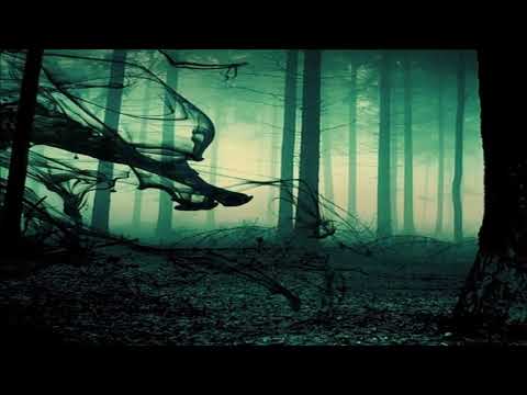 S'tek h - Nightcrawler