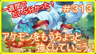 【アッシュテイル】もう少しアケモンを強くしていこう！　＃３１３