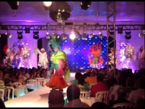 Imperatriz Leopoldinense 2011 - Fantasias