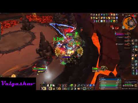 Primal Council | Tank View