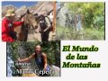 DINOSAURIOS EN LA CUMBRE  !!!