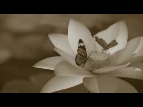 Animasyon - Herşey Güzel Olacak Senle Olunca / Ziynet Sali